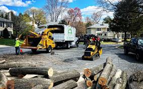 Best Sod Installation  in Barneveld, WI