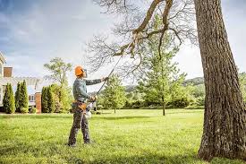 Barneveld, WI Tree Services Company