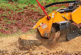 Best Aeration Services  in Barneveld, WI