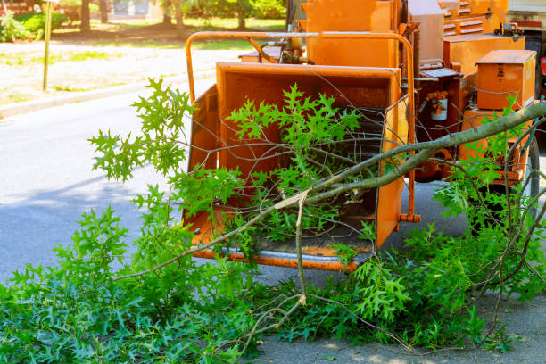 Best Lawn Irrigation Installation and Maintenance  in Barneveld, WI